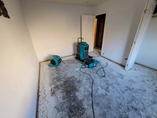 Carpet water damage restoration in Massanetta Springs, VA