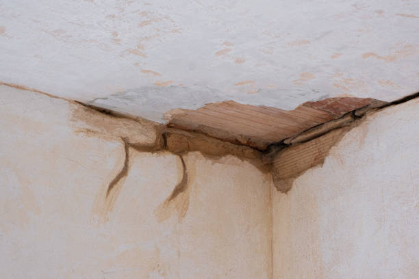  Massanetta Springs, VA Water damage restoration Pros