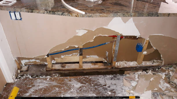 Best Flood restoration services  in Massanetta Springs, VA