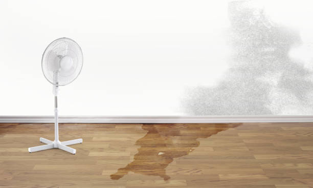 Reliable Massanetta Springs, VA Water damage restoration Solutions