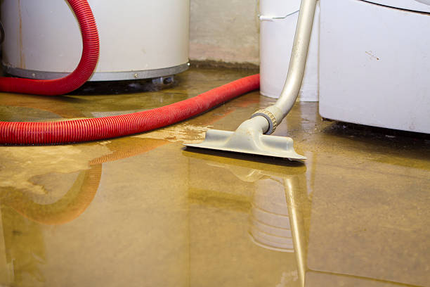 Best Fire Damage Restoration  in Massanetta Springs, VA