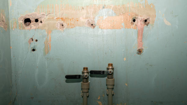 Best Water damage restoration specialists  in Massanetta Springs, VA