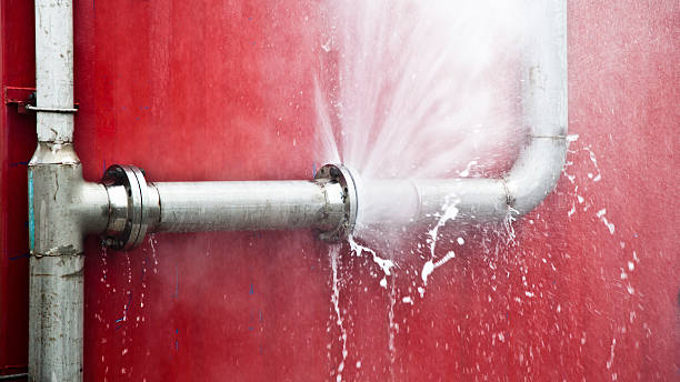 Best Commercial water damage restoration  in Massanetta Springs, VA