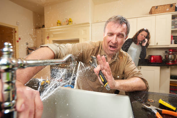 Best Basement water damage restoration  in Massanetta Springs, VA